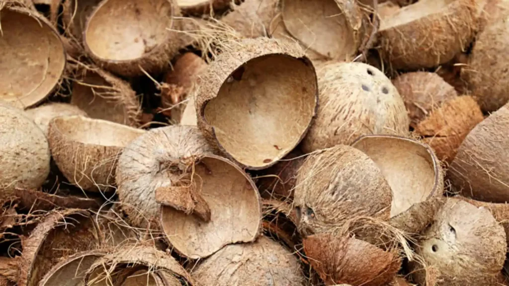 Coconut Charcoal For Shisha Kohle
