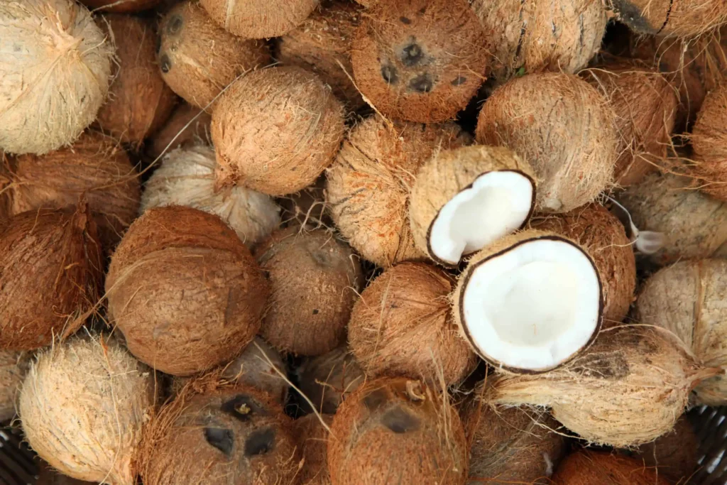 Indonesian Coconut Shisha Charcoal